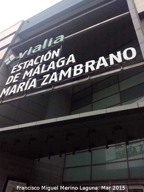 Estación María Zambrano - Estación María Zambrano. 