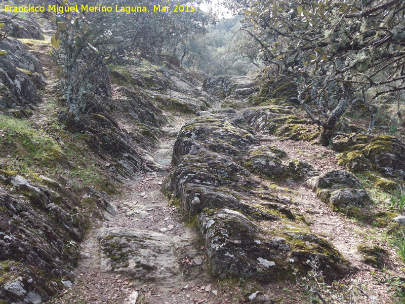 Rodenas del Cordel de Víllora - Rodenas del Cordel de Víllora. 