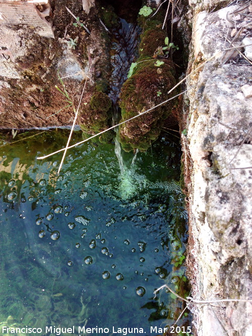 Fuente de las Cañadas - Fuente de las Cañadas. 