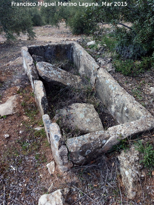 Pozo del Mollejón - Pozo del Mollejón. Pilar
