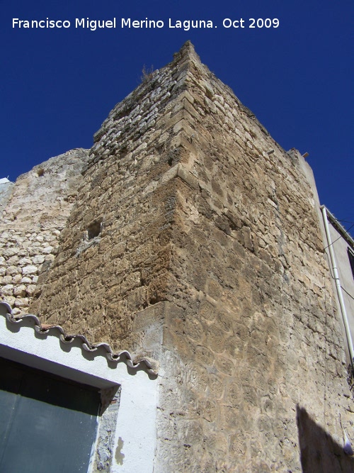 Castillo de las Peñuelas - Castillo de las Peñuelas. Torreón rectangular