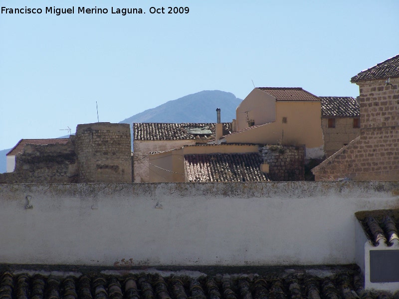 Castillo de las Peñuelas - Castillo de las Peñuelas. Los dos torreones circulares de su muralla