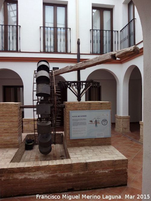 Centro de Interpretación de la Vida Rural y del Aceite - Centro de Interpretación de la Vida Rural y del Aceite. Noria de Sangre en el patio