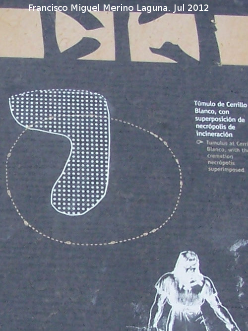 Cerrillo Blanco - Cerrillo Blanco. Superposicin de la necrpolis de incineracin