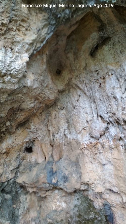 Cueva del Río Cañamares - Cueva del Río Cañamares. 