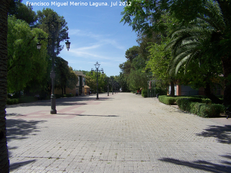 Paseo de Jesús - Paseo de Jesús. 