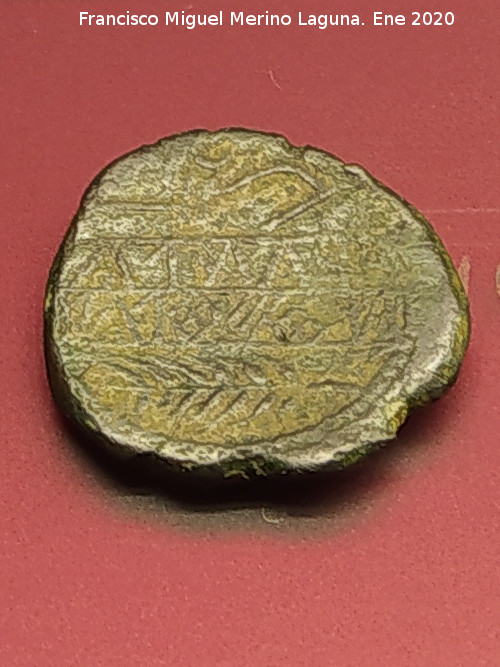 Obulco - Obulco. Moneda Unidad de Obulco. Reverso arado, yugo y espiga. Museo Arqueol�gico Provincial de Ja�n