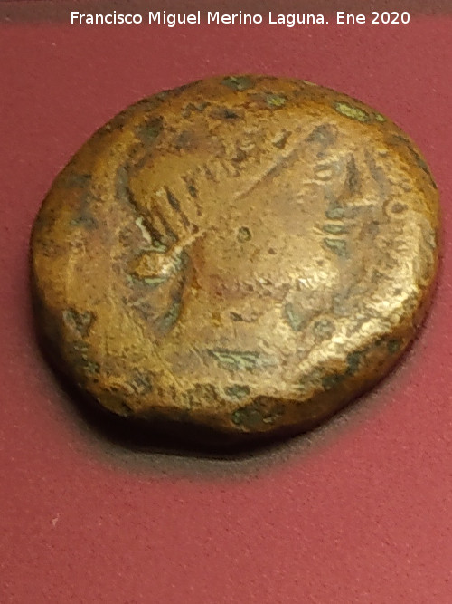 Obulco - Obulco. Moneda Unidad de Obulco. Anverso de Tanit. Museo Arqueol�gico Provincial de Ja�n