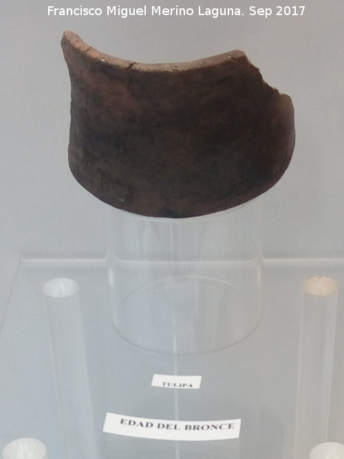Cueva de los Murciélagos - Cueva de los Murciélagos. Tulipa. Museo Histórico de Zuheros