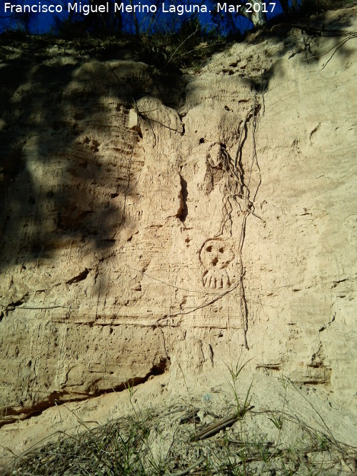 Pozo San Martín - Pozo San Martín. Calavera