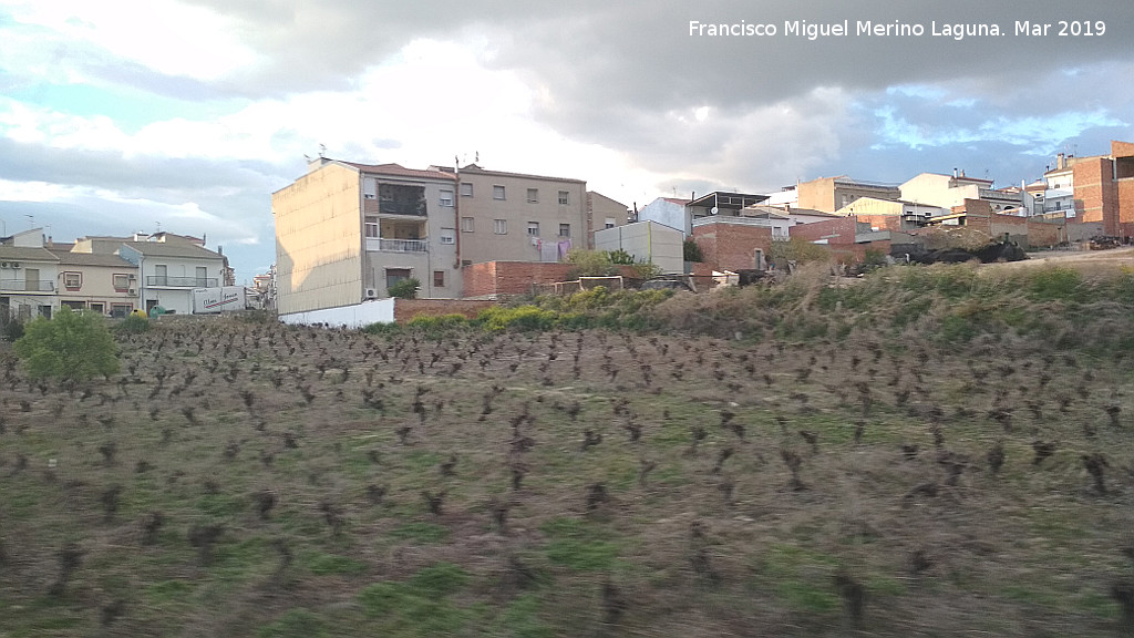Viñedos - Viñedos. 