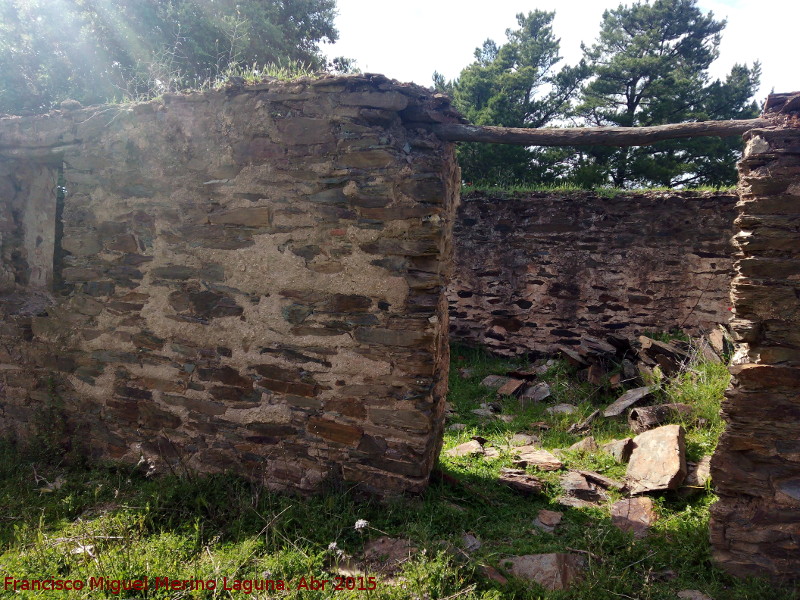 Cortijo de las Américas - Cortijo de las Américas. 