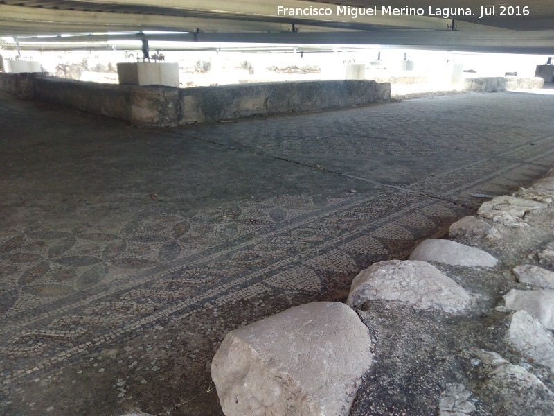 Villa Romana de Bruñel - Villa Romana de Bruñel. Mosaico