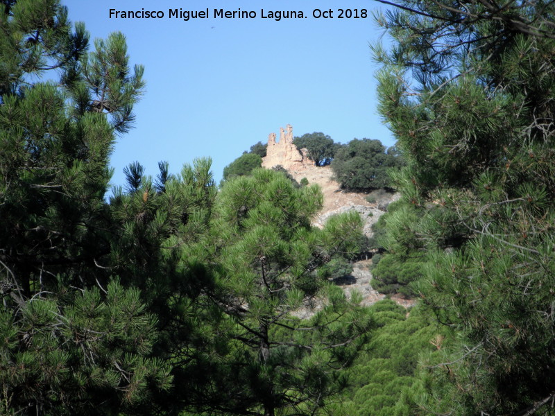 Castillo de Castro Ferral - Castillo de Castro Ferral. 