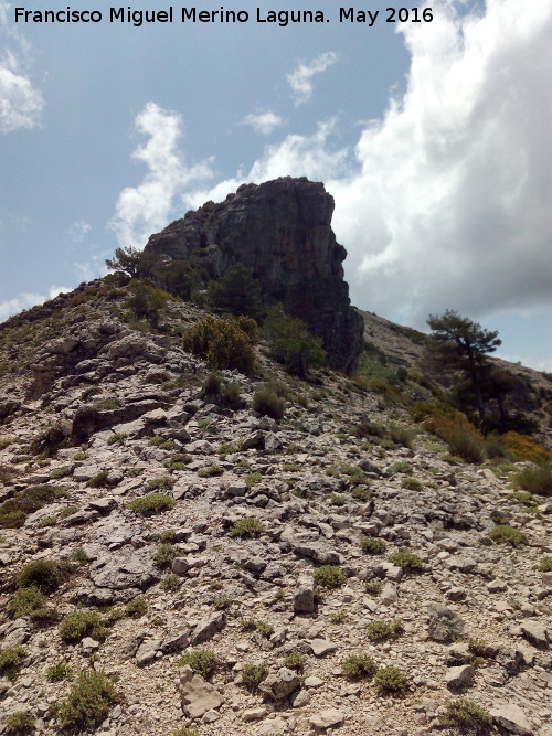 Banderillas - Banderillas. Peñas