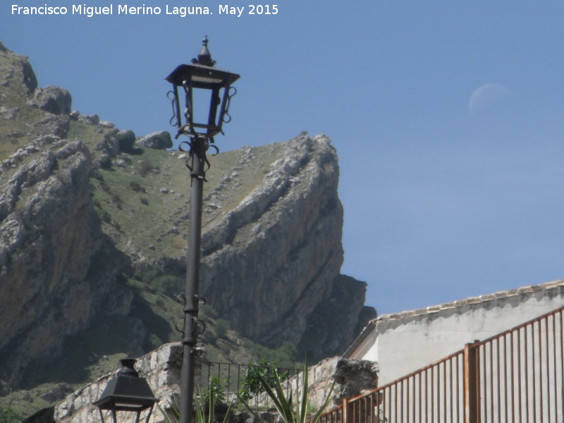 Arbolillo de la Pea - Arbolillo de la Pea. Arbolillo con la Luna