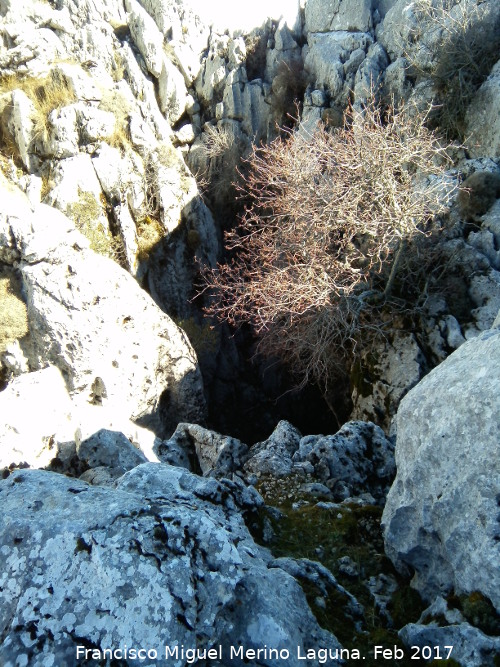 Sima del Aznaitn de Albanchez - Sima del Aznaitn de Albanchez. 