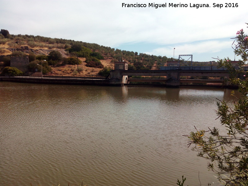 Pantano del Molino del Guadalén - Pantano del Molino del Guadalén. 