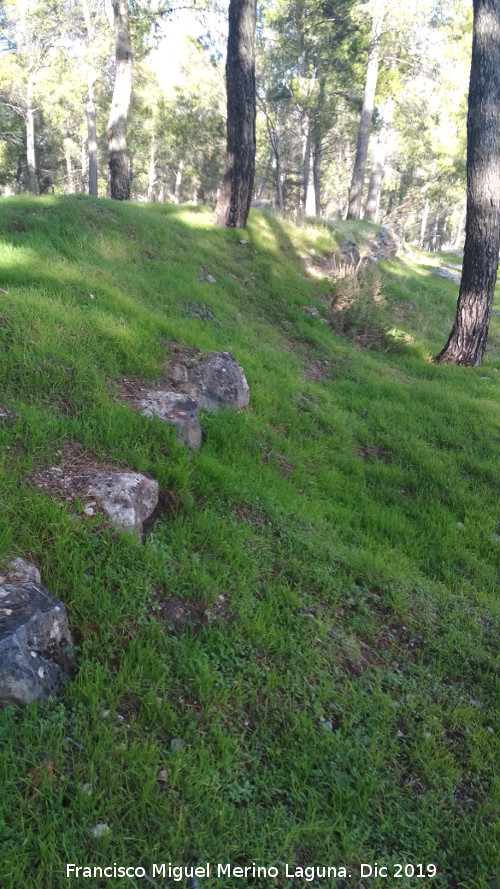 Palacio Musulm�n de Santa Catalina - Palacio Musulm�n de Santa Catalina. Muralla este