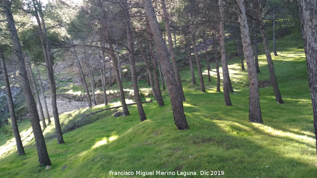 Palacio Musulm�n de Santa Catalina - Palacio Musulm�n de Santa Catalina. Zona del palacio