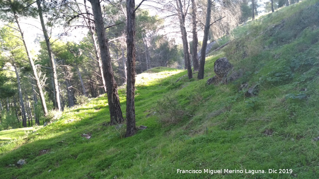 Palacio Musulm�n de Santa Catalina - Palacio Musulm�n de Santa Catalina. Zona alta