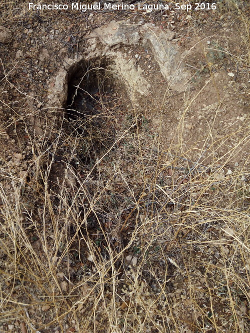 Necrópolis de Cóllar - Necrópolis de Cóllar. Tumba con rebaje para losa de cubrición
