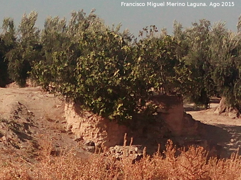 Molino del Cañaveral - Molino del Cañaveral. 