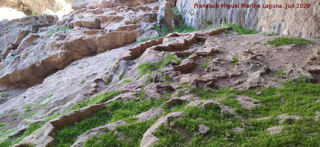 Cueva de las Grajas - Cueva de las Grajas. Gours
