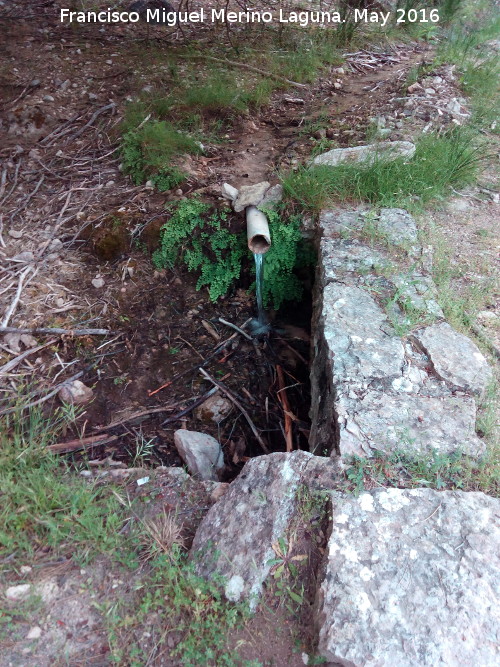 Fuente Bonales - Fuente Bonales. Caño que derrama a la cuneta