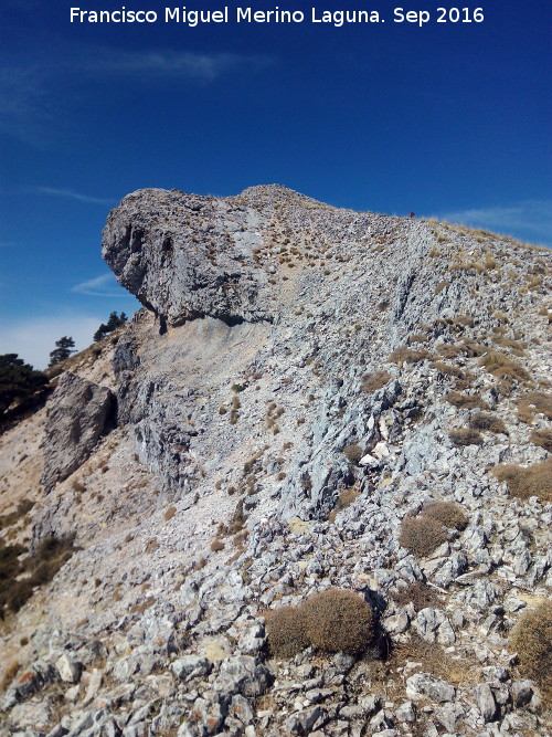 Aguilón del Loco - Aguilón del Loco. 