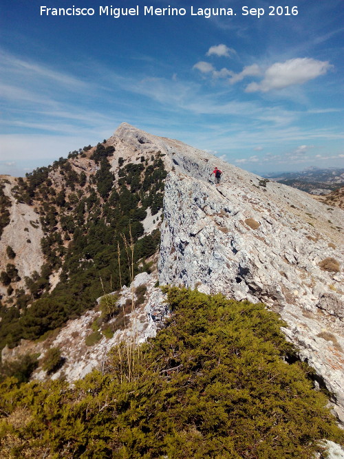 Aguilón del Loco - Aguilón del Loco. 