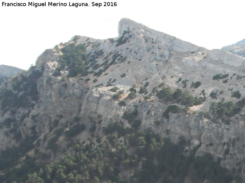 Peñón del Guante - Peñón del Guante. Desde el Rayal