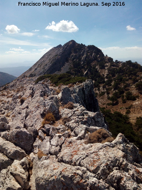 Peñón del Guante - Peñón del Guante. Desde la Cuerda de los Agrios