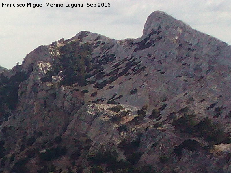 Peñón del Guante - Peñón del Guante. Desde el Rayal