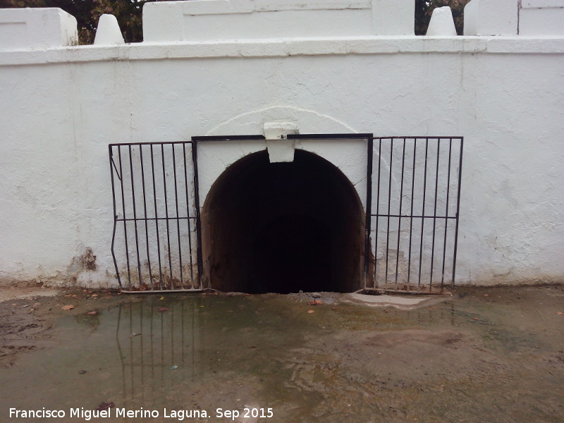 Fuente de los Grifos - Fuente de los Grifos. Desagüe por debajo de la carretera