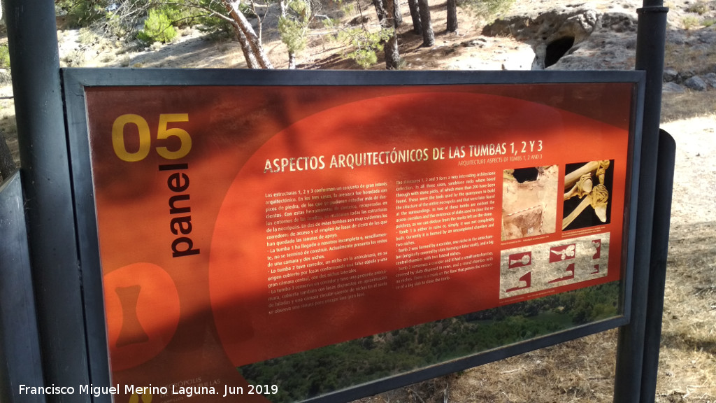 Necrópolis de las Aguilillas - Necrópolis de las Aguilillas. Panel 5