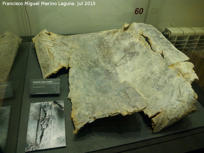 Museo de la Ciudad - Museo de la Ciudad. Papadera de ataud de plomo con decoracin de canes enfrentados. Siglo I d.C.