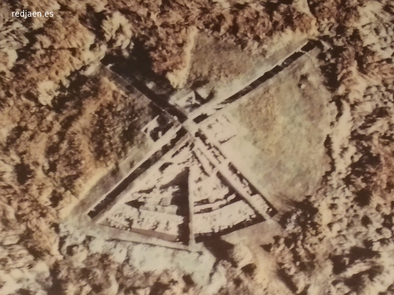 Motilla de las Caas - Motilla de las Caas. Foto area. Museo Comarcal de Daimiel