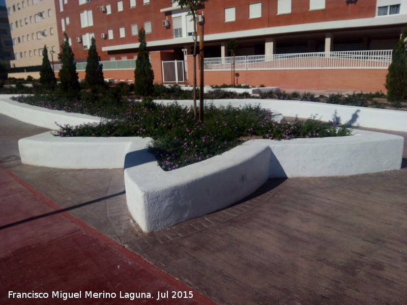 Jardín del Lagarto de Jaén - Jardín del Lagarto de Jaén. Mano del lagarto