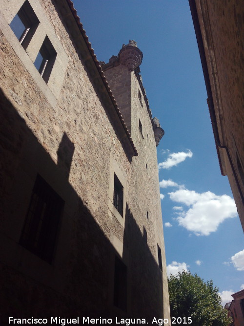 Torreón de los Guzmanes - Torreón de los Guzmanes. Lateral
