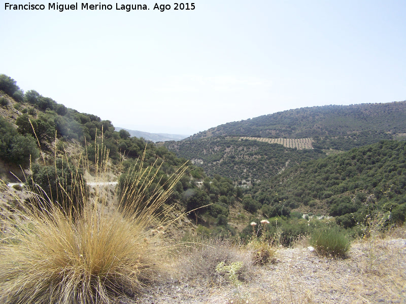 Cordel de Jaén - Cordel de Jaén. Al fondo el Puerto del Escribano