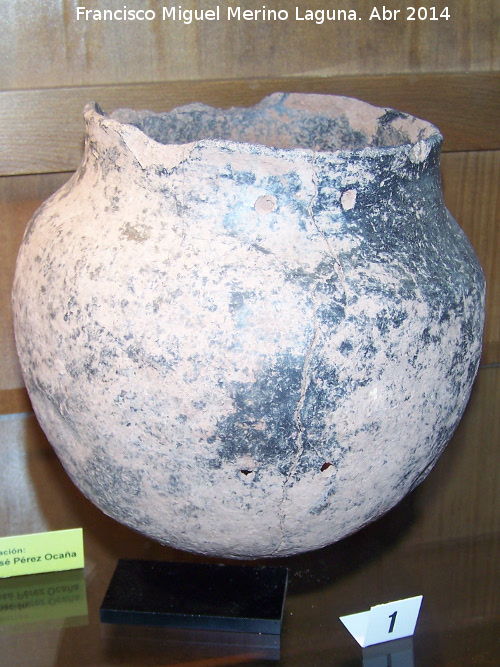 Museo Arqueológico Profesor Sotomayor - Museo Arqueológico Profesor Sotomayor. Recipiente cerámico de la Edad del Cobre