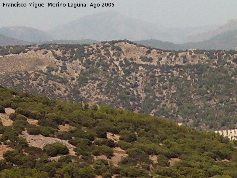 Morrón de los Quejigares - Morrón de los Quejigares. 