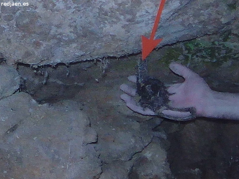 Mina de Agua El Melero - Mina de Agua El Melero. Revólver encontrado
