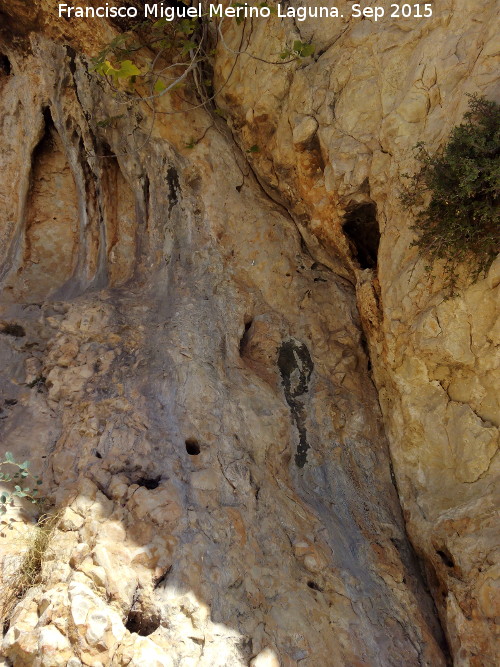 Pinturas rupestres del Abrigo Neandertal de la Serrezuela - Pinturas rupestres del Abrigo Neandertal de la Serrezuela. Pared donde se encuentran las pinturas