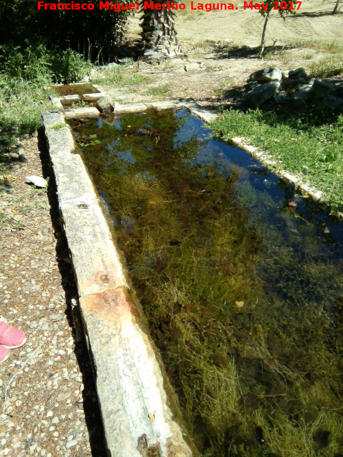 Fuente Cañá Povares - Fuente Cañá Povares. Pilar