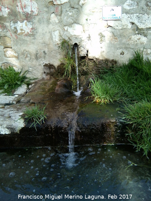 Pilar Picón de Fuentes - Pilar Picón de Fuentes. Caño del pilar