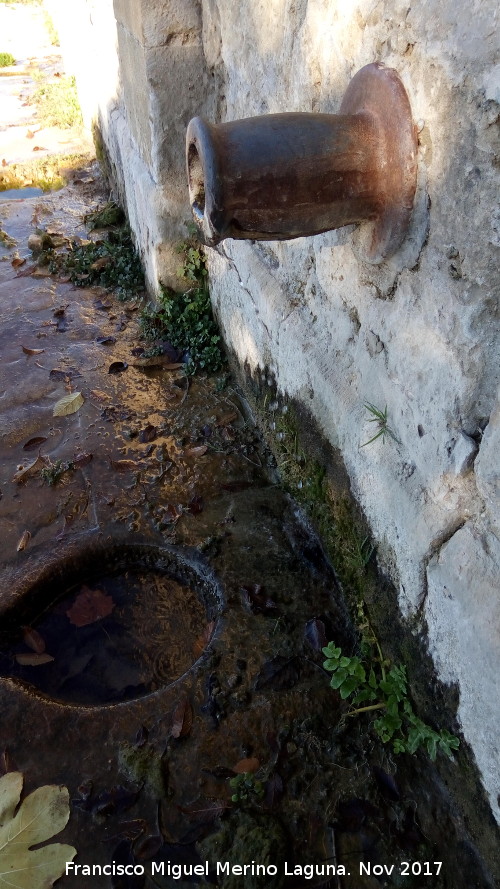 Fuente de la Alameda - Fuente de la Alameda. Caño