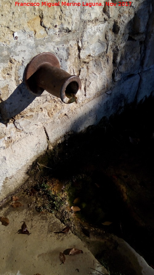 Fuente de la Alameda - Fuente de la Alameda. Caño