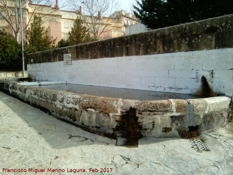 Pilar del León - Pilar del León. 